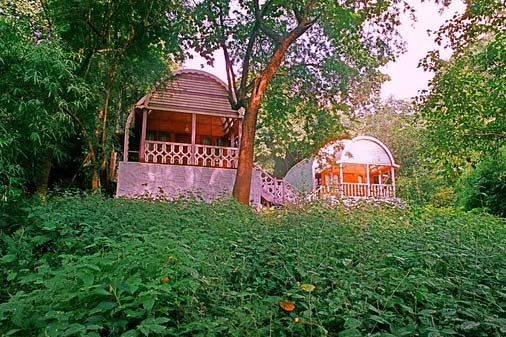 TYDA HARITHA JUNGLE BELLS ARAKU
