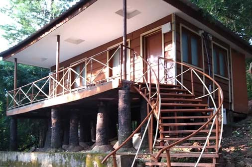 TYDA HARITHA JUNGLE BELLS ARAKU