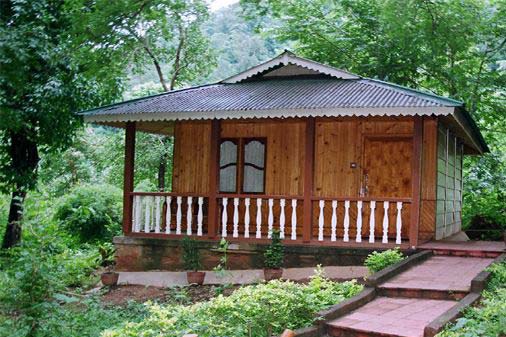 TYDA HARITHA JUNGLE BELLS ARAKU