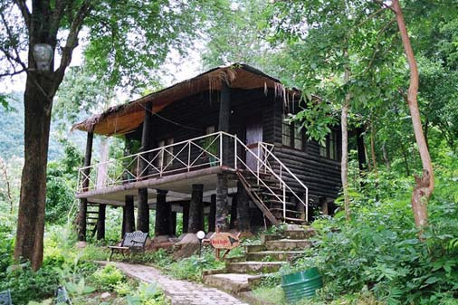 TYDA HARITHA JUNGLE BELLS ARAKU
